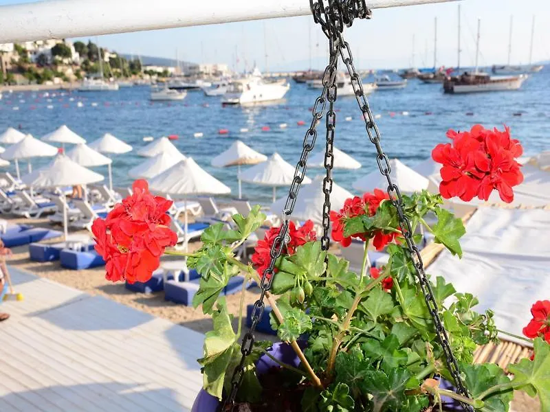 Angora Hotel Bodrum Pensionat