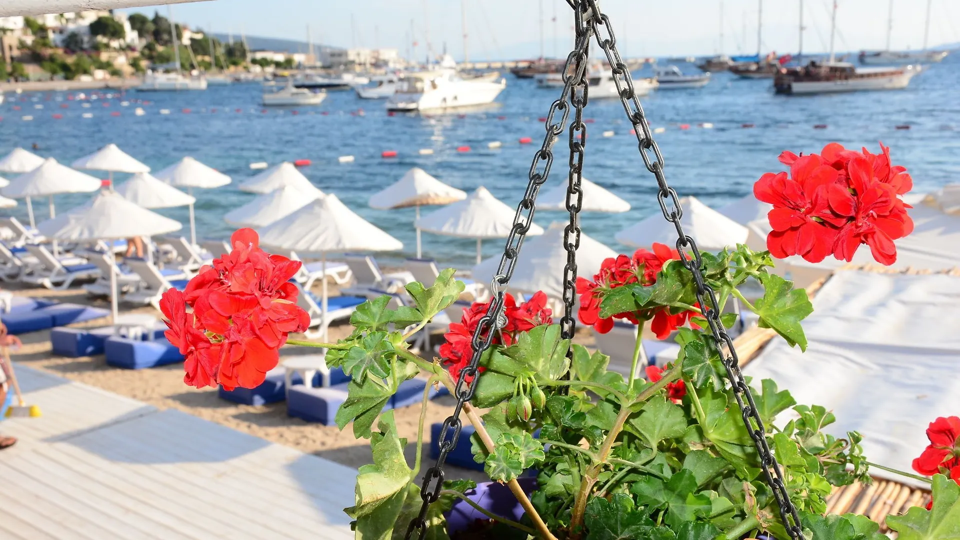 Angora Hotel Bodrum Guest house